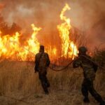 One_Dead_as_Greek_Wildfire_Burns_in_Athens_Suburbs