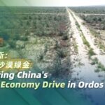 Ordos_City_Transforms_Deserts_with_Green_Economy_Initiatives video poster