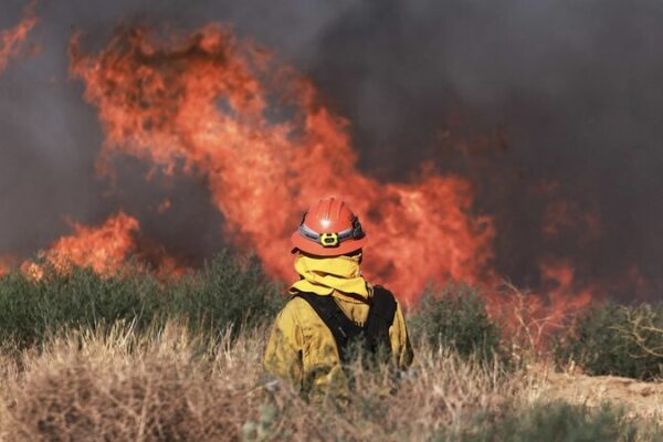Over 1,200 Evacuated as Wildfire Rages in California’s Los Angeles County Over 1,200 Evacuated as Wildfire Rages in California's Los Angeles County video poster