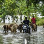 Over 1 Million Affected by Severe Flooding in India's Assam State