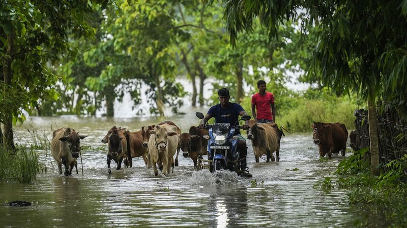 Over_1_Million_Affected_by_Severe_Flooding_in_Indias_Assam_State - Khabar Asia Over 1 Million Affected by Severe Flooding in India's Assam State