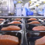 Over_3_600_Food_Packaging_Chemicals_Detected_in_Human_Bodies__Study_Reveals