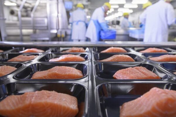 Over 3,600 Food Packaging Chemicals Detected in Human Bodies, Study Reveals Over_3_600_Food_Packaging_Chemicals_Detected_in_Human_Bodies__Study_Reveals