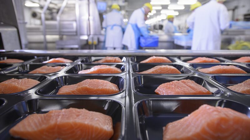 Over_3_600_Food_Packaging_Chemicals_Detected_in_Human_Bodies__Study_Reveals - Khabar Asia Over_3_600_Food_Packaging_Chemicals_Detected_in_Human_Bodies__Study_Reveals