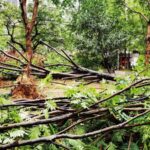 Over_628_000_People_Affected_in_Fujian_Province_as_Typhoon_Gaemi_Makes_Landfall