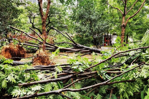 Over_628_000_People_Affected_in_Fujian_Province_as_Typhoon_Gaemi_Makes_Landfall