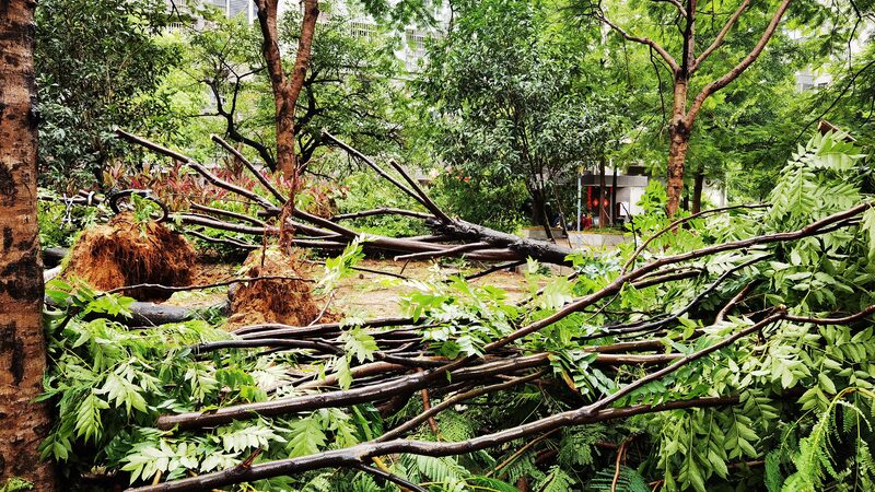 Over_628_000_People_Affected_in_Fujian_Province_as_Typhoon_Gaemi_Makes_Landfall