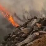 Over 700 Firefighters Battle Raging Forest Fire in SW China's Ganzi