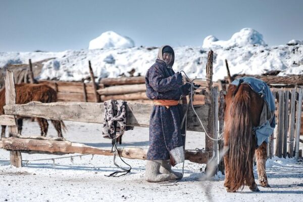 Over 7 Million Livestock Lost in Mongolia’s Harsh ‘Dzud’ Winter Over 7 Million Livestock Lost in Mongolia's Harsh 'Dzud' Winter