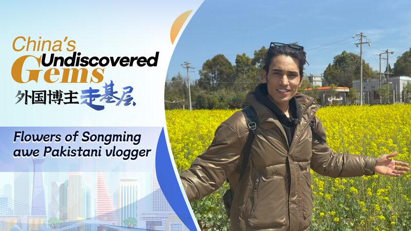 Pakistani_Vlogger_Unveils_Songming_Countys_Blossoming_Flower_Economy_poster - Khabar Asia Pakistani Vlogger Unveils Songming County's Blossoming Flower Economy video poster
