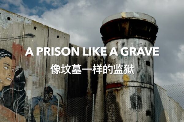 Palestinian Activist Munther Amira Describes ‘Prison Like a Grave’ After Arrest Palestinian Activist Munther Amira Describes 'Prison Like a Grave' After Arrest video poster
