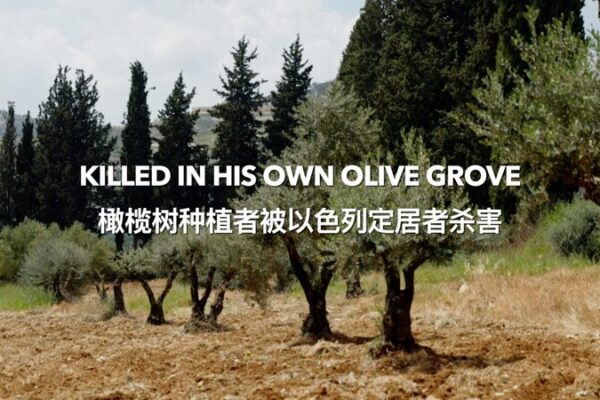 Palestinian Farmer’s Life Cut Short in His Beloved Olive Grove Palestinian Farmer's Life Cut Short in His Beloved Olive Grove video poster
