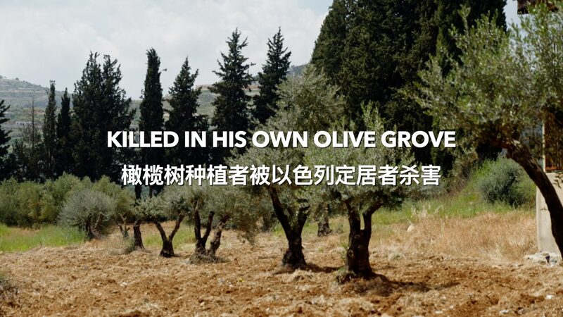 Palestinian_Farmers_Life_Cut_Short_in_His_Beloved_Olive_Grove_poster - Khabar Asia Palestinian Farmer's Life Cut Short in His Beloved Olive Grove video poster