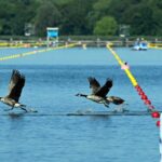 Paris_2024_Organizers_Claim_Significant_Reduction_in_Olympic_Carbon_Emissions