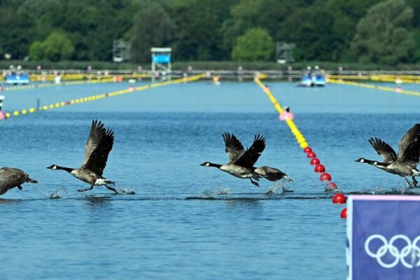 Paris_2024_Organizers_Claim_Significant_Reduction_in_Olympic_Carbon_Emissions