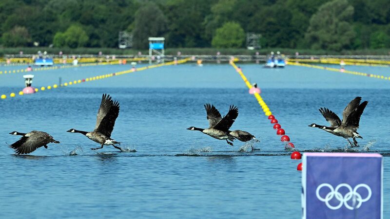 Paris_2024_Organizers_Claim_Significant_Reduction_in_Olympic_Carbon_Emissions