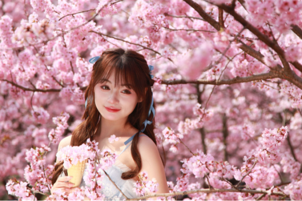 Pastel Pink Clouds: Nanjing’s Breathtaking Cherry Blossoms Herald Spring Pastel Pink Clouds: Nanjing's Breathtaking Cherry Blossoms Herald Spring