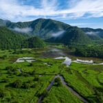 Peat_Moss__The_Ancient_Guardian_of_Shennongjia_s_Wetlands video poster
