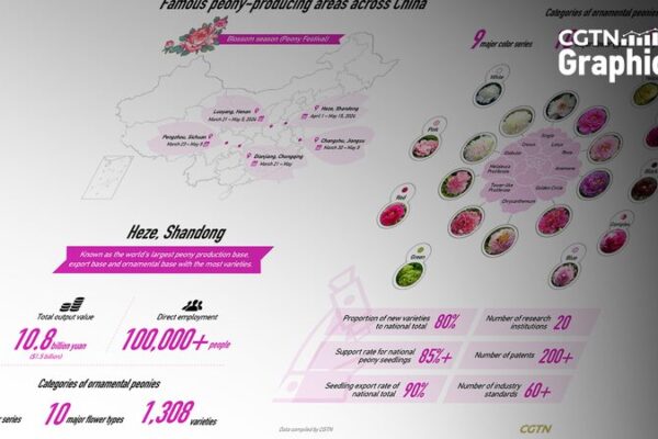 Peony Festivals: Blossoming Culture and Economy in China Peony Festivals: Blossoming Culture and Economy in China