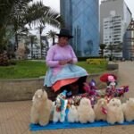 Peru_s_Beloved_Alpacas__A_Cornerstone_of_Culture_and_Economy video poster