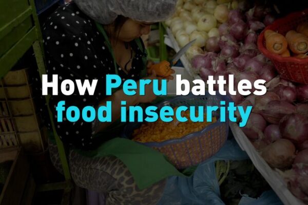 Peru’s Ongoing Battle Against Food Insecurity Amid APEC Leaders’ Meeting Peru_s_Ongoing_Battle_Against_Food_Insecurity_Amid_APEC_Leaders__Meeting video poster