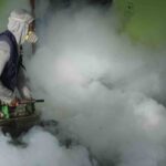 Peru's Dengue Crisis Highlights Climate Change Impact on Mosquito-Borne Diseases