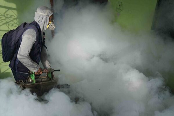 Peru’s Dengue Crisis Highlights Climate Change Impact on Mosquito-Borne Diseases Peru's Dengue Crisis Highlights Climate Change Impact on Mosquito-Borne Diseases