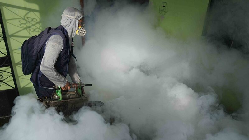 Peru's Dengue Crisis Highlights Climate Change Impact on Mosquito-Borne Diseases