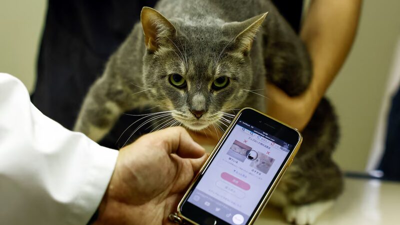 Pet_Tech_Revolution_How_AI_Apps_Are_Transforming_Cat_Care_in_Japan - Khabar Asia Pet Tech Revolution: How AI Apps Are Transforming Cat Care in Japan