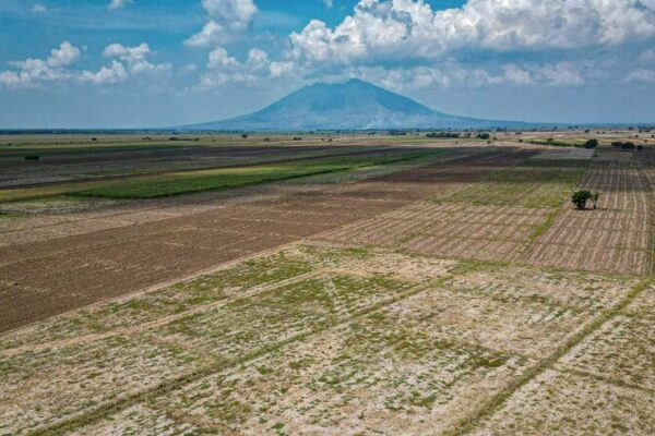 Philippines Considers Cloud Seeding to Combat El Niño-Induced Drought Philippines_Considers_Cloud_Seeding_to_Combat_El_Nin_o_Induced_Drought