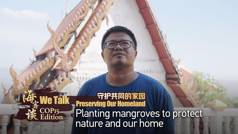Planting_Mangroves_Thai_Village_Protects_Its_Home_from_Coastal_Erosion_poster - Khabar Asia Planting Mangroves: Thai Village Protects Its Home from Coastal Erosion video poster