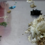 Plastic Pollution Threatens Sea Turtles in the Mediterranean, Study Finds