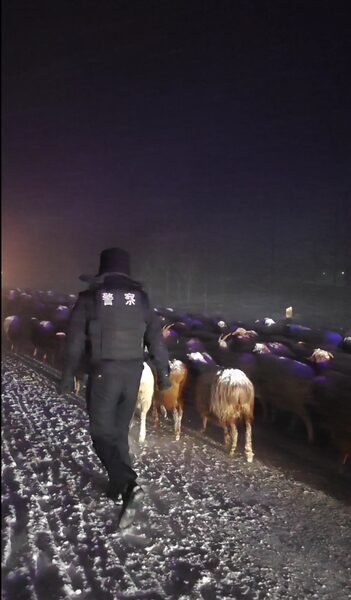 Police Rescue Stranded Herdsmen and Livestock Amid Xinjiang Snowstorms video poster