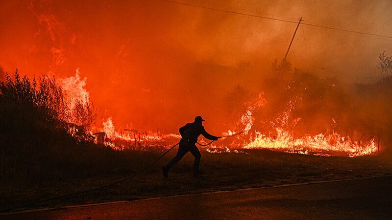 Portugal_Wildfire_Death_Toll_Rises_to_Seven_After_Tragic_Loss_of_Firefighters