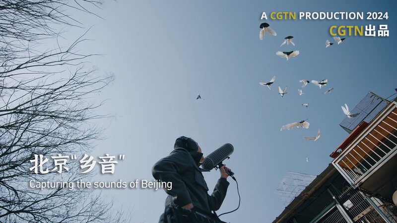 Preserving_Beijing_s_Unique_Soundscape__Artist_s_Quest_to_Save_Pigeon_Whistles_poster - Khabar Asia Preserving_Beijing_s_Unique_Soundscape__Artist_s_Quest_to_Save_Pigeon_Whistles video poster