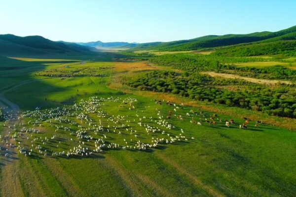 Preserving Nomadic Traditions on Inner Mongolia’s Ar Horqin Grassland Preserving Nomadic Traditions on Inner Mongolia's Ar Horqin Grassland video poster