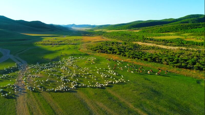 Preserving_Nomadic_Traditions_on_Inner_Mongolias_Ar_Horqin_Grassland_poster - Khabar Asia Preserving Nomadic Traditions on Inner Mongolia's Ar Horqin Grassland video poster