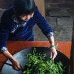 Preserving_Tradition_Liubao_Teas_Master_Craftsman_Shares_Art_with_the_World - Khabar Asia Preserving Tradition: Liubao Tea's Master Craftsman Shares Art with the World