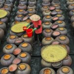 Preserving Tradition: The Art of Making Soy Sauce in Vietnam
