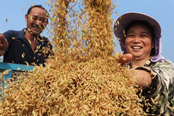 President Xi Extends Greetings for Chinese Farmers’ Harvest Festival President_Xi_Extends_Greetings_for_Chinese_Farmers__Harvest_Festival