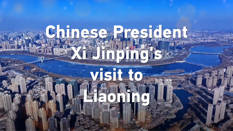 President_Xi_Jinping_Begins_2025_with_New_Year_Visit_to_Liaoning_Province video poster