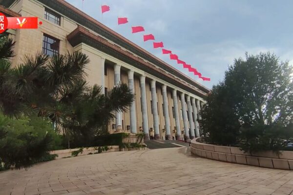 President Xi Jinping Hosts UAE Leader in Beijing to Strengthen Bilateral Ties