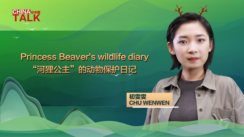 Princess_Beavers_Wildlife_Diary_Chu_Wenwens_Mission_to_Save_Xinjiangs_Beavers_poster - Khabar Asia Princess Beaver's Wildlife Diary: Chu Wenwen's Mission to Save Xinjiang's Beavers video poster