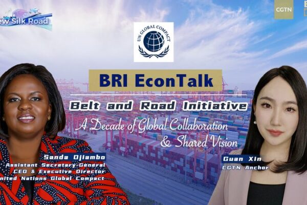 Private Enterprises Propel Belt and Road Initiative Towards Sustainable Growth Private Enterprises Propel Belt and Road Initiative Towards Sustainable Growth video poster