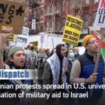 Pro-Palestinian Protests Surge Across U.S. Universities video poster