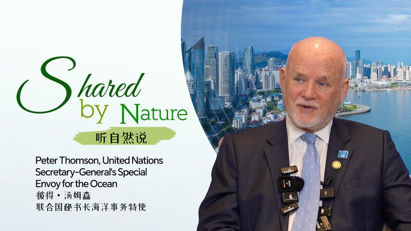 Qingdao_s_Vital_Support_for_UN_Decade_of_Ocean_Science_Praised video poster