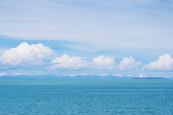 Qinghai Lake's Summer Splendor: A Journey Through Nature's Paradise