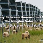 Qinghai_s_Talatan_Solar_Park__Harmonizing_Humans_and_Nature_in_a_Green_Economy video poster