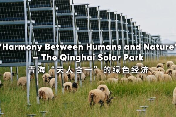 Qinghai’s Talatan Solar Park: Harmonizing Humans and Nature in a Green Economy Qinghai_s_Talatan_Solar_Park__Harmonizing_Humans_and_Nature_in_a_Green_Economy video poster