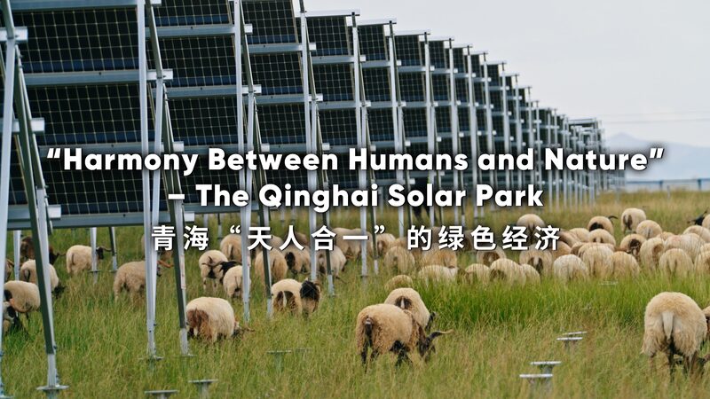 Qinghai_s_Talatan_Solar_Park__Harmonizing_Humans_and_Nature_in_a_Green_Economy_poster - Khabar Asia Qinghai_s_Talatan_Solar_Park__Harmonizing_Humans_and_Nature_in_a_Green_Economy video poster